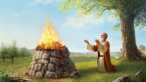 ការវាយតម្លៃលោកយ៉ូប ពីសំណាក់ព្រះជាម្ចាស់ និងនៅក្នុងព្រះគម្ពីរ